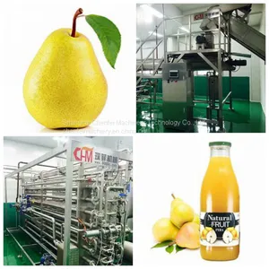 Pear Juice Processing Line thumbnail-1