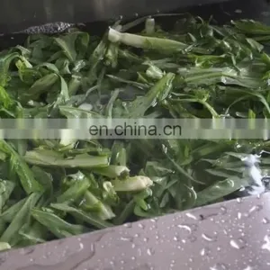 Commercial Stainless Steel Ozone Bubble Cabbage Vegetable Washing Machine thumbnail-1
