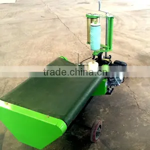 Runshine CE Approved RXHW0810 Hay Bale Packing Machine With Plastic Film thumbnail-2