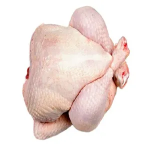 Premium Grade Fresh Frozen Chicken In A Best Rate thumbnail-2