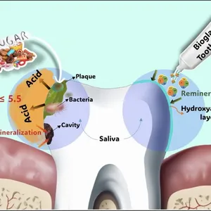 Bioactive Glass thumbnail-1