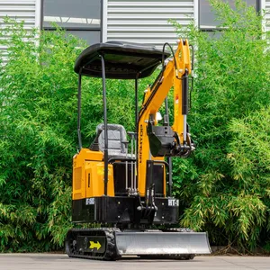LUYUE LY-12 Minibagger 1.2 Ton Mini Excavator Compact Crawler Digger With Canopy for Garden Farmland Work thumbnail-3