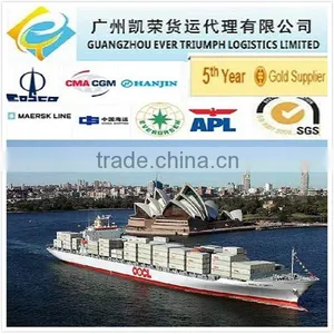 40 Foot Container Price From China to USA (DDU Shipping) thumbnail-1