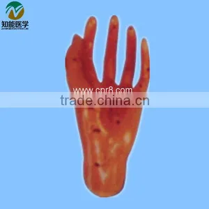 Newly Developed Hand Massage Model BIX-Y1014 thumbnail-1