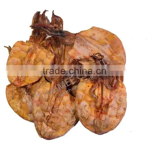 Cuttlefish thumbnail-1