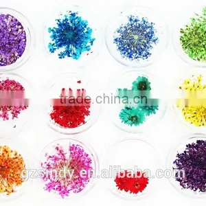 Hot Sell Nail Art Natural Dried Flowers for Nail Art Decoration,nail Accessory ZX:GH746 thumbnail-3