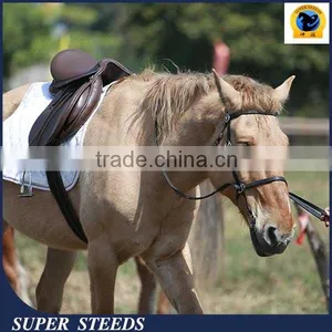 Horse Briddle With Raised Browband and Flash Padded Noseban thumbnail-1