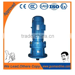 Cycloidal Speed Reducers for Electric Motors thumbnail-1
