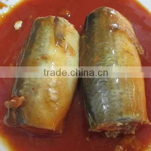 Oval Can Best Canned Sardine in Toamto Sauce Sardinas en Lata en Salsa de Tomate (125g/155g/425g) thumbnail-5