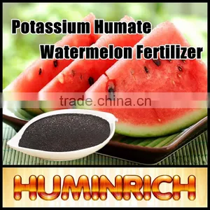 FAQ 35--What Benefit Does Huminrich Organic Fertilizer Apply To Watermelon? thumbnail-1
