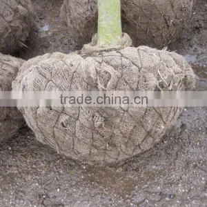 Tree Wire Basket - Rootball Netting for Tree Moving thumbnail-1