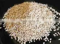 White Sesame Seeds thumbnail-1