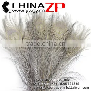 CHINAZP Leading Supplier Wholesale Cheap Full Eye Dyed Grey Long Peacock Tail Feathers thumbnail-1