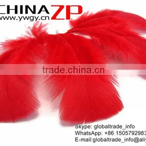 ZPDECOR Factory Wholesale Bulk Dyed Red Turkey Fluff Flat T-Base Body Plumage Feathers thumbnail-2