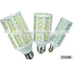 12V/24V DC Light thumbnail-2