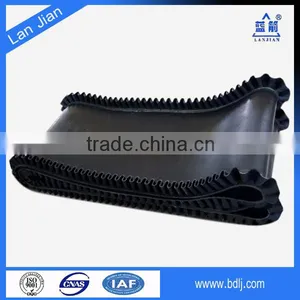 Sidewall Conveyor Belt v Belt thumbnail-2