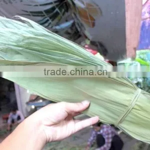 Dry Bamboo Leaf thumbnail-3