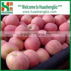 China 9kg-20kg Carton Fresh Fuji Apple thumbnail-6
