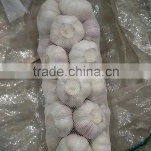 New Crop Garlic 2016 thumbnail-1