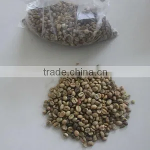 VIETNAM HIGH QUALITY ROBUSTA COFFEE S18 (website&Yahoo: Visimex06) thumbnail-5