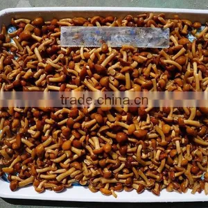 Marinated Nameko Mushroom in Oil thumbnail-2