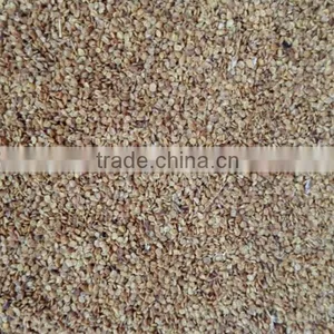 Organic Goji Berry Seeds Wholesale thumbnail-1