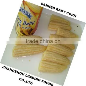 Canned Young Corn thumbnail-1