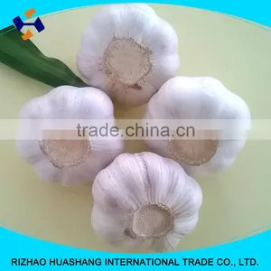 Red Fresh Garlic Size4.0cm thumbnail-6