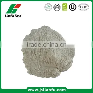 Dehydrated White Onion Powder thumbnail-1