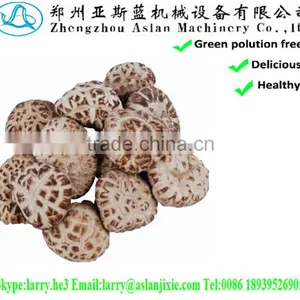 Lentinus Edodes/mushroom Champignon/champignon Mushroom thumbnail-1