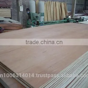 4x8 Indoor Usage Furniture Grade Bintangor Plywood thumbnail-1