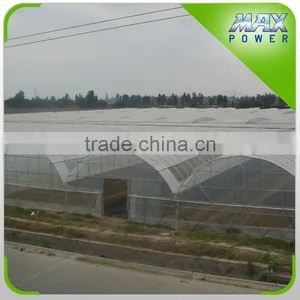 Multi Tunnel PE Film Greenhouse thumbnail-1