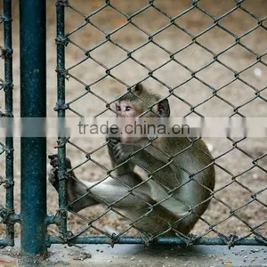 Lowest Price Galvanized Chain Link Fence Factory in China thumbnail-6