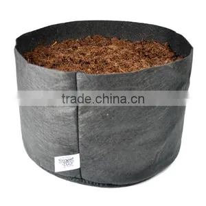 10 Gallon Smart Pots Smart Non Woven Plant Bag (1 Gal to 1200 Gal) thumbnail-1