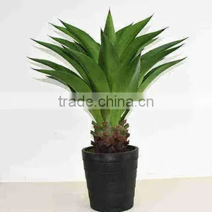 SJ0301122 Guangzhou Shengjie Artificial Spiked Agave Bonsai Plant Tree Products 5feet thumbnail-5