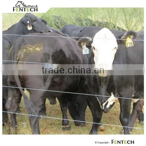 High Durable Fentech Long Warranty Farm Electric Fencing for Cattle thumbnail-3