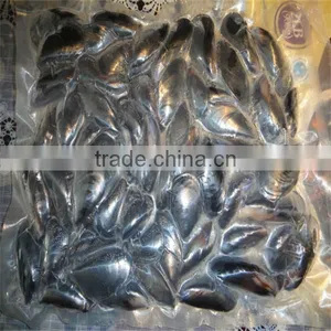 Frozen Bule Mussel thumbnail-1