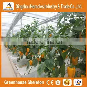 Heracles High Quality Customized Glass Greenhouse With Hydroponic System thumbnail-5