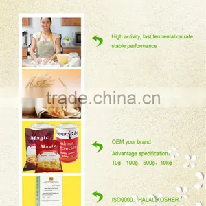 1 kg Dry Powder thumbnail-3