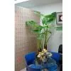 Shenzhen YiMing Technology Co,Ltd company overview - view 1 thumbnail