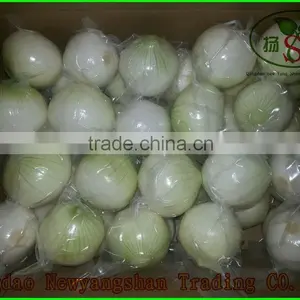 China Peel the Red Onion / Peel Onions/yellow Onion thumbnail-1