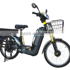 China Manufacturer Low Cost Powerful Electric Cargo Bike 2015 thumbnail-1