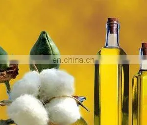 Hydraulic Oil Cottonseed Oil Teaseed Oil Pressing Machine Cold & Hot Pressing Machine thumbnail-4