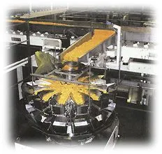 Chinese Hot Spicy Strips Production Line &making Machine Line thumbnail-6