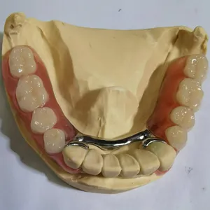 China Professional Dental Lab - Fast Delivery China Dental Lab thumbnail-1