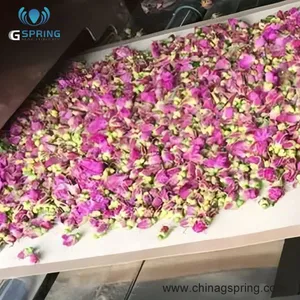 Industrial Continuous Rose Flower Microwave Drying and Sterilization Machine High Efficiency Petal Dryer Equipment thumbnail-4