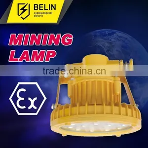 Flameproof LED Roadway Lights thumbnail-1