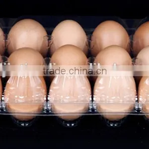 Wholesale Clear Plastic Clamshell Egg Tray Box Packaging of 15 Holes/cavities thumbnail-3