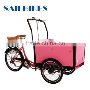 Electric Bicycle Cargo for Children thumbnail-6