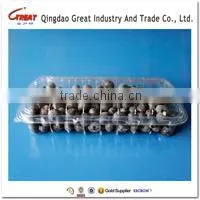 Disposable Rectangle Plastic Clear Fruit Containers With Lids thumbnail-1